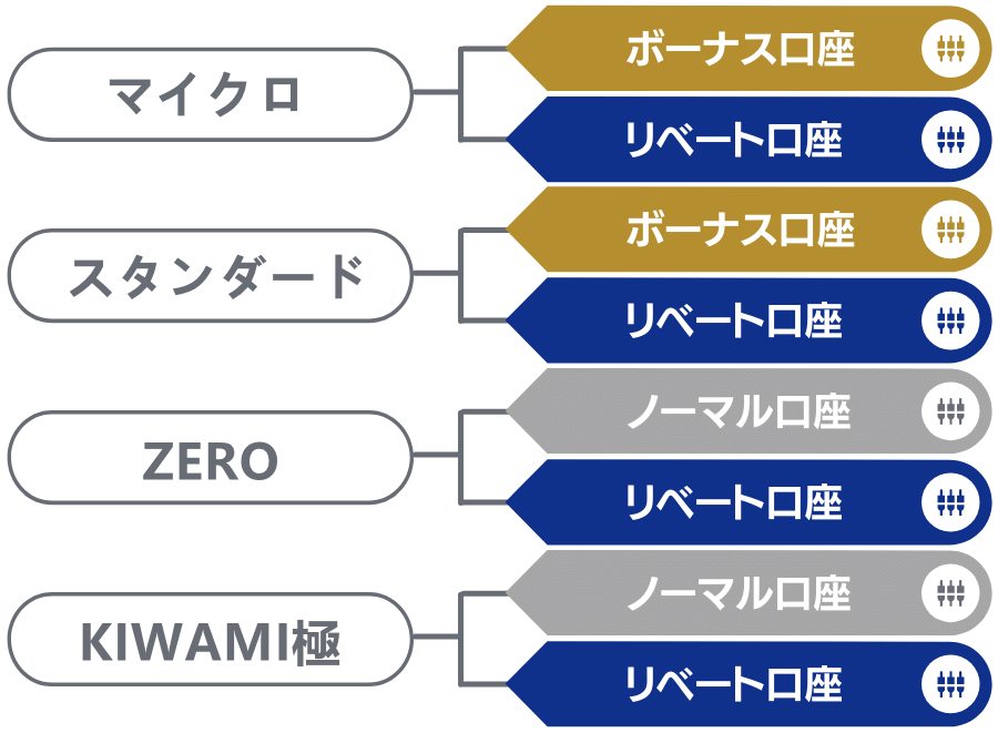 XMの6種類の口座タイプ内訳図